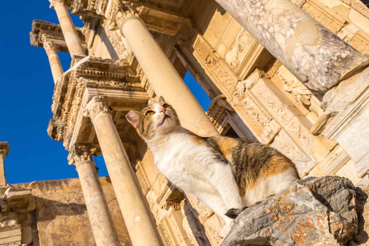 istanbul local tour guide